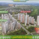 벨라시티공인중개사사무소 이미지