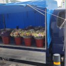 엘에프팜 이미지