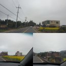 황금초밥 | 제주서귀포 맛집 황금초밥 참치 내돈내산 후기