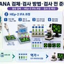ANA메디컬 티스토리