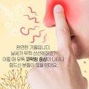 아마레 이미지