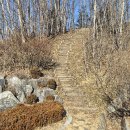 강원체육회관 이미지