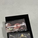 루미나드 | 빈트 뉴욕 자동차 방향제 추천｜신차 선물로 좋은 에센셜 카퍼퓸 루미나 폴