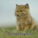 백현로150번길 이미지