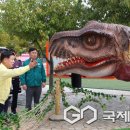 고성군 10 이미지