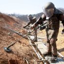 마전리 일대