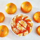 홍순농장 | 타이벡감귤 홍순이감귤농장 역시 맛있네요~