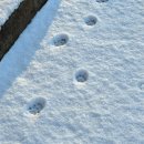 이디야커피 부천소사점 이미지