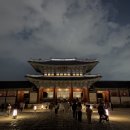 2024 경북궁 야간 개장 후기