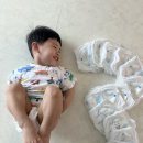 엘프레리 여름 기저귀 에어씬 리얼 후기 🍼