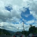 전국손세차 이미지