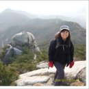 서울목동초등학교 이미지