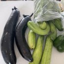 안압농장 이미지