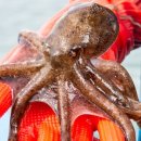 자연알로(서천) 이미지