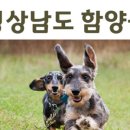 신성가축병원 이미지