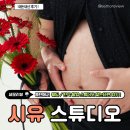 [만삭촬영] 경기도 화성 동탄 웨딩 만삭 사진관 추천 스튜디오 시유 내돈내산 후기