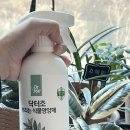 수경반점 | 닥터조 뿌리는 식물영양제 사용 후기｜햇빛 부족한 실내 식물 관리용으로 써봤어요