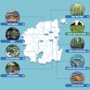 도청대로(남) 이미지