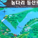 진천 초평호 출렁다리 국내 최장출렁다리(309m) 개통 농다리 둘레길트레킹 이미지