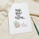 한잔어때 이미지