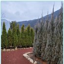 경인펜션민박 이미지