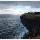 뉴월드시스템 이미지