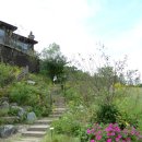 허브빌리지(Herb village) 이미지