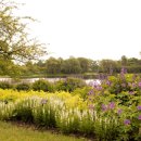 호숫가의 풍경 이미지