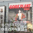 샵:플랜트+팟 | 용산 아프리카 희귀식물샵 고어플랜트 방문후기