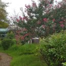 동강중학교 이미지