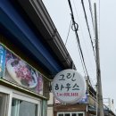 쭈꾸미하우스 | [무창포 맛집] 충남 보령 그린하우스 쭈꾸미샤브 &amp; 칼국수 솔직 후기