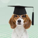 건강한미래약국 이미지