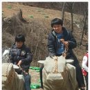 진광중학교 이미지
