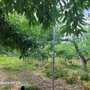 이담공인중개사사무소 이미지