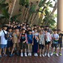 용인대백호태권도 이미지