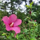 바다향기 이미지