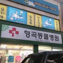 형곡동물병원 이미지