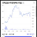 에스비에프 이미지