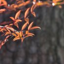 청운우체국 이미지