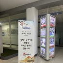 쭈 이미지