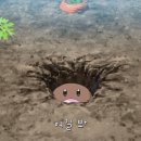 노벨의원 네이버블로그