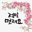 디지탈에버그린 이미지