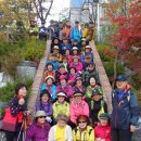 정진학교 | 2169-제359회 &#39;와룡산-무릉도원 수목원&#39; 주말걷기 후기