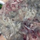 신마산회집 이미지