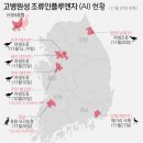 김일환 농장 이미지