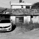 신선동-12 이미지