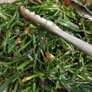 중앙웰빙 이미지