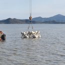 신안군 수산자원 산란 서식장 공모 100억 원 확보[미래뉴스] 이미지