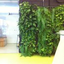 클라우드나인(CLOUD9) 이미지