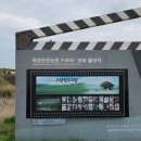 백일농장 | 고창여행.고창 청보리밭 방문후기